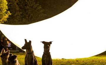 FOTO: Biela noc 2024