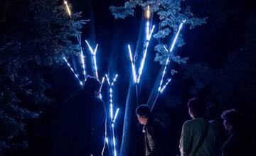 FOTO: Biela noc 2024