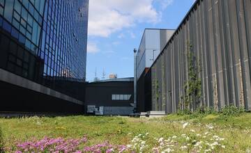 FOTO: Na streche autobusovej stanice v Bratislave našli vzácny hmyz