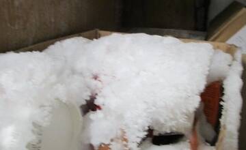 FOTO: Hygienici odhalili viaceré nedostatky v slovenských prevádzkach. Steny boli hrdzavé, našli aj larvy či mole