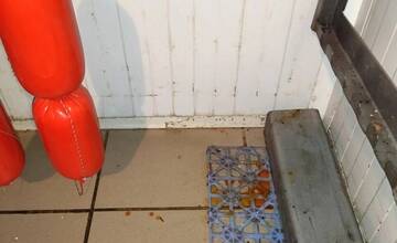 FOTO: Hygienici odhalili viaceré nedostatky v slovenských prevádzkach. Steny boli hrdzavé, našli aj larvy či mole