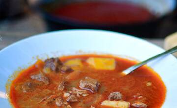 FOTO: Prvé tohtoročné víno v Rači