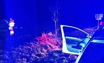 FOTO: Auto dvoch mladíkov skončilo prevrátené v poli