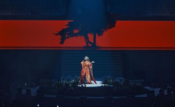 FOTO: Koncert speváčky Tiny v Bratislave. Ako to vyzeralo na štadióne Ondreja Nepelu?