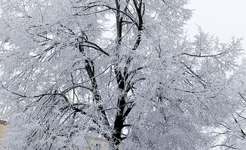 FOTO: Ružinov vyzerá ako z Mrázika. V Rači však sneh nepadal