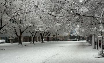 FOTO: Ružinov vyzerá ako z Mrázika. V Rači však sneh nepadal