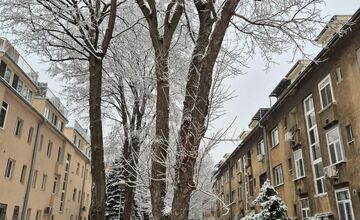 FOTO: Ružinov vyzerá ako z Mrázika. V Rači však sneh nepadal