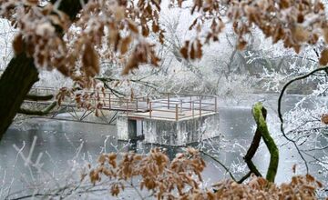 FOTO: Zima vymaľovala Vinohrady v Rači. Vyzerajú ako z Mrázika