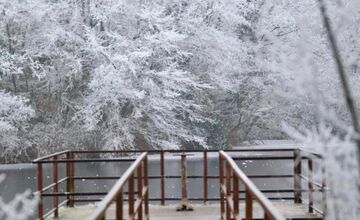 FOTO: Zima vymaľovala Vinohrady v Rači. Vyzerajú ako z Mrázika