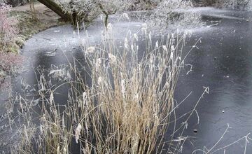 FOTO: Zima vymaľovala Vinohrady v Rači. Vyzerajú ako z Mrázika