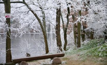 FOTO: Zima vymaľovala Vinohrady v Rači. Vyzerajú ako z Mrázika