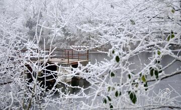 FOTO: Zima vymaľovala Vinohrady v Rači. Vyzerajú ako z Mrázika