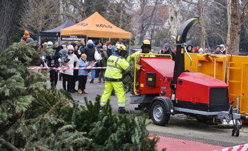 FOTO: Novoročná mulčovačka 2025 v Sade Janka Kráľa v Petržalke