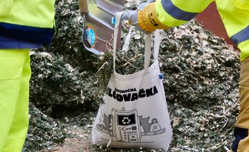 FOTO: Novoročná mulčovačka 2025 v Sade Janka Kráľa v Petržalke