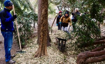 FOTO: Novoročná mulčovačka 2025 v Sade Janka Kráľa v Petržalke