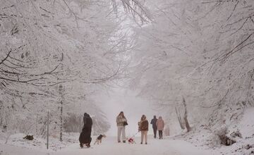 FOTO: Hmla nevadí, boby to istia! Takto vyzerajú večerné sánkovačky na Kamzíku