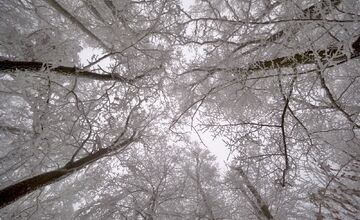 FOTO: Hmla nevadí, boby to istia! Takto vyzerajú večerné sánkovačky na Kamzíku