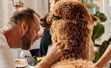 FOTO: Bistro Bite&Byte na Plynárenskej končí