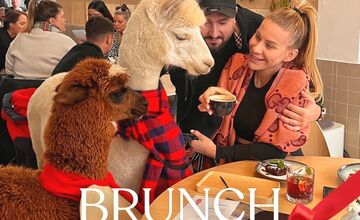 FOTO: Bistro Bite&Byte na Plynárenskej končí