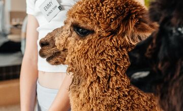 FOTO: Bistro Bite&Byte na Plynárenskej končí