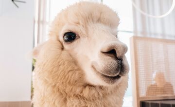 FOTO: Bistro Bite&Byte na Plynárenskej končí