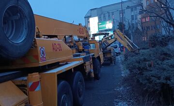 FOTO: Nelegálny výrub stromov na Šancovej ulici 