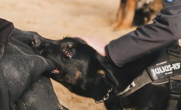 FOTO: Výcvik policajných zvierat
