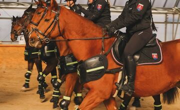 FOTO: Výcvik policajných zvierat