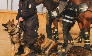 FOTO: Výcvik policajných zvierat