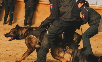 FOTO: Výcvik policajných zvierat
