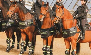FOTO: Výcvik policajných zvierat