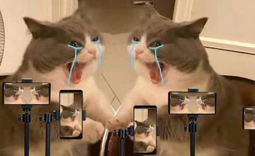 FOTO: Satirické stránky reagujú na rozchod Bianky a Jovinečka