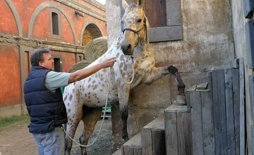 FOTO: Peter Andy Hric