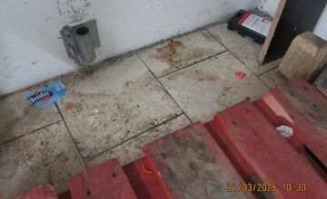 FOTO: Inšpektori kontrolovali predajne potravín. Našli v nich pleseň, mŕtve hlodavce aj trus v potravinách