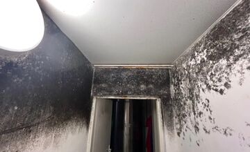 FOTO: Inšpektori kontrolovali predajne potravín. Našli v nich pleseň, mŕtve hlodavce aj trus v potravinách