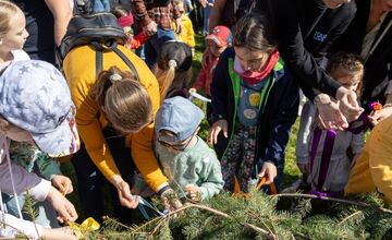 FOTO: Takto prebiehalo stavanie májov v Bratislavskom kraji