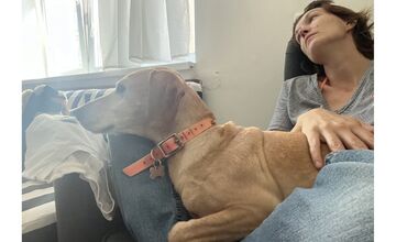 FOTO: Nina bojuje s rakovinou, ľudia jej pomáhajú prostredníctvom zbierky na Donio