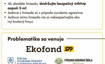 FOTO: Staré Mesto upozorňuje na nebezpečného sršňa