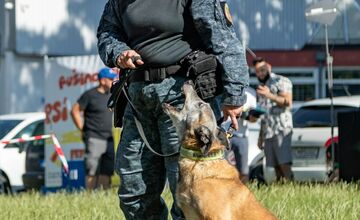 FOTO: Ružinovský psí miláčik 