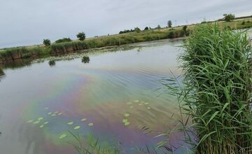 FOTO: Na hladine jazera v Záhorskej Vsi sa vyskytla škvrna