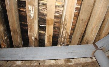 FOTO: Prihlásené projekty z Trnavského kraja v Proměnách 2025