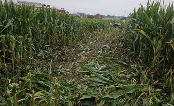 FOTO: Pri Nových Zámkoch spadlo malé lietadlo, pilot zraneniam podľahol