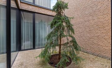 FOTO: Ako vyzerá vila Majka Spirita na Kolibe?