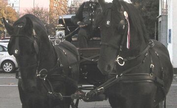 FOTO: Zomrel Jozef Brčo