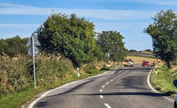 FOTO: Na Záhorí skrížilo cestu šoférom stádo stoviek danielov