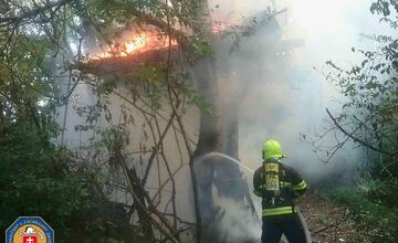 FOTO: Požiar stromov v Devínskej Novej Vsi