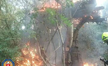 FOTO: Požiar stromov v Devínskej Novej Vsi