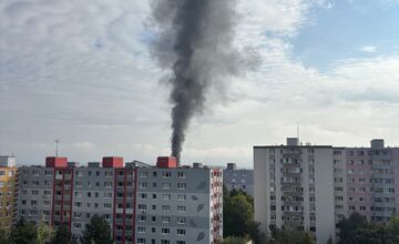 FOTO: Požiar stromov v Devínskej Novej Vsi