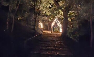 FOTO: Osvietená bratislavská kalvária