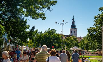 FOTO: Vinobranie Pezinok 2025